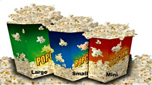 Gourmet Popcorn 3 sizes